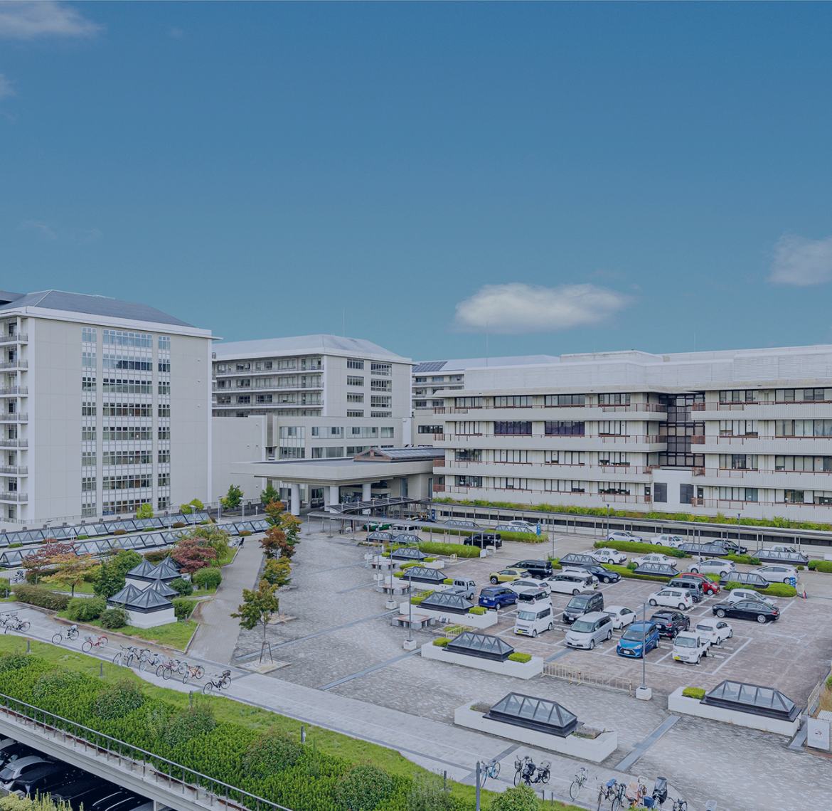 京都大学口腔外科同窓会