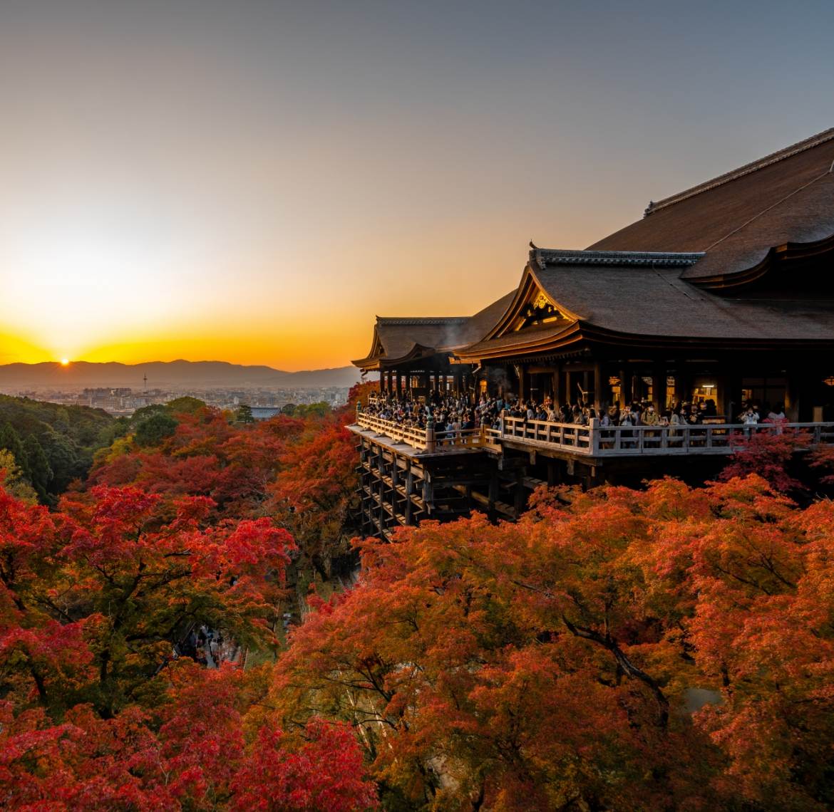 京都大学口腔外科同窓会